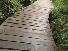 -白草畔自然风景区