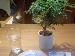 -CURRY YA 熟成咖哩專門店(深圳湾万象城店)