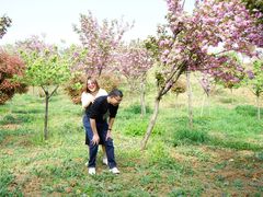 -绵阳盛世樱花悠乐谷