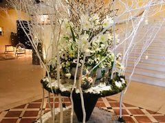 -Bleston Court Yukawatan