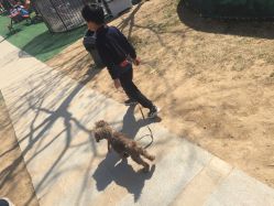 -萌宠亲子动物乐园(槐房万达店)