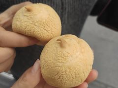 -闻酥园(青羊区文殊坊店)