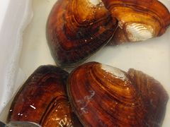 -十八字金·银饰·开蚌DIY·手工体验团建(魏公芳华里店)