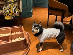 -三利音·浦之舟(滨江大道店)