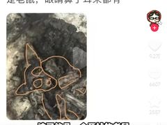 -御面斋精品面馆