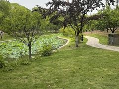 -上海交通大学(闵行校区)