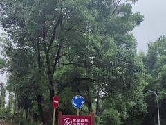 -青龙山国家森林公园