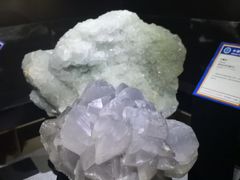 -中国地质大学逸夫博物馆
