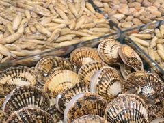 -百富源·海鲜辽菜(和平北大街店)