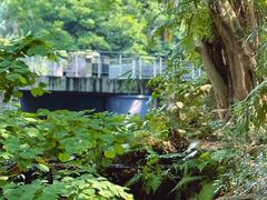 -燕晗山郊野公园