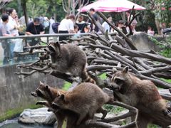 -宁波野生动物园
