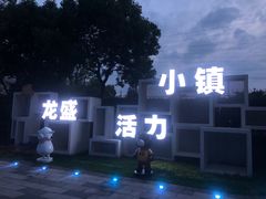 -龙盛活力小镇
