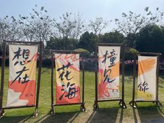 -径山花海