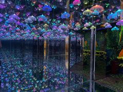-梵高星空艺术馆(北京旗舰店)