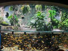 -太平洋海底世界