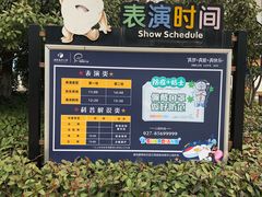 -海合安武汉极地海洋公园