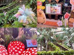 -正佳雨林生态植物园