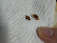 -福建中医药大学附属第二人民医院(本部)