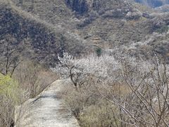 -龙泉峪长城