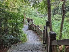 -铁山坪森林公园