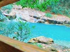 -广州白江湖森林公园