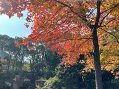 -白马涧龙池景区