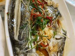 -日日香卤鹅饭店·澄海狮头鹅(澄海店)