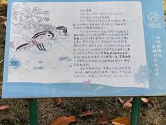 -月湖风景区