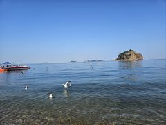 -棒棰岛宾馆景区