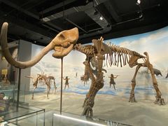 -辽宁古生物博物馆