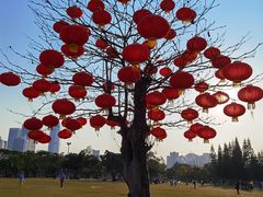 -万绿园