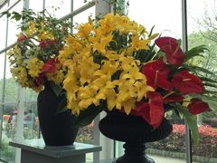-上海鲜花港