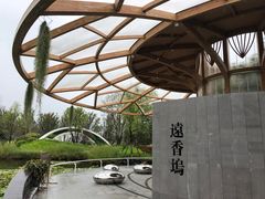 -东平国家森林公园