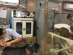 -悠尼宠物·独立低压伊珊娜洗护·美容·寄养(兰谷路店)