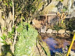 -天芳悦潭度假村温泉