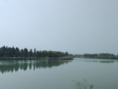 -西京湾花海