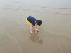-南汇新城海滩