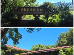 -中国茶叶博物馆(双峰馆区)