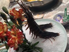 -禄婶鸡煲·打边炉