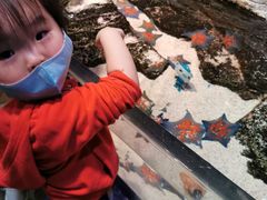 -沈阳海洋探索中心