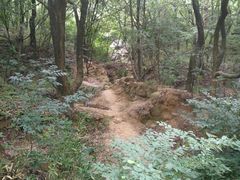 -灵岩山风景区