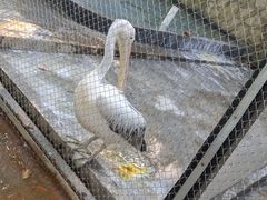 -广东茂名森林公园