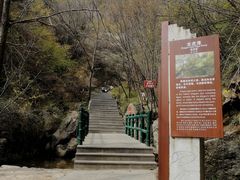 -王顺山国家森林公园