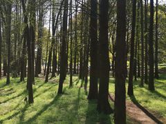 -共青国家森林公园-售票处