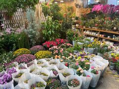 -双季花艺园艺市场(浦东店)