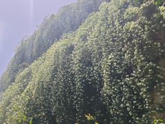 -成都当代影像馆