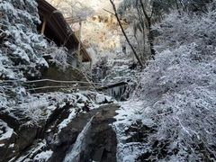 -藏龙百瀑风景区