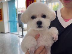 -德元·美联众合24小时动物医院(总院)