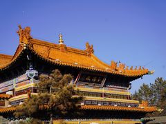 -大召无量寺