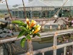 -华南国家植物园-售票处